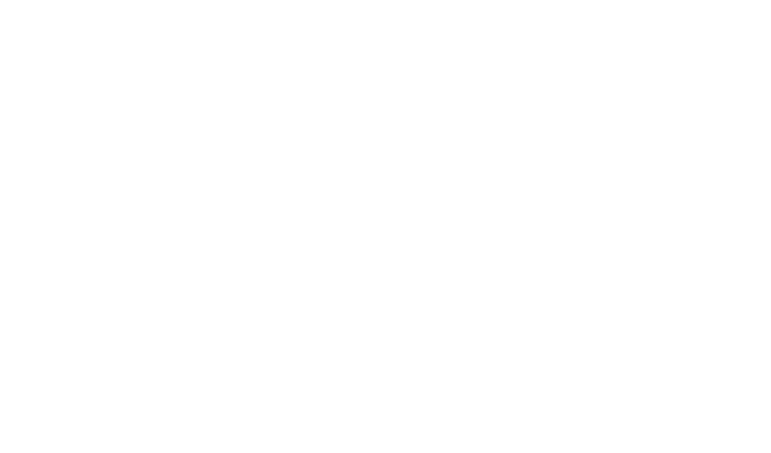 Mercy Flights Logo